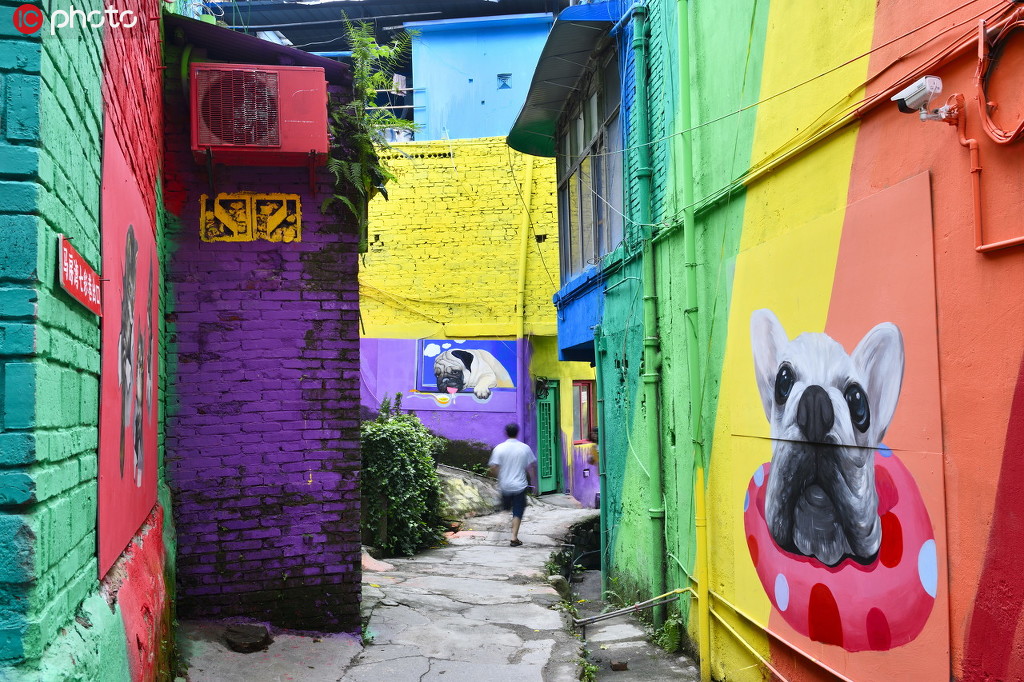 隱藏在重慶主城中的彩色巷子 充滿萌寵和童話色彩被稱為“彩虹村”【6】