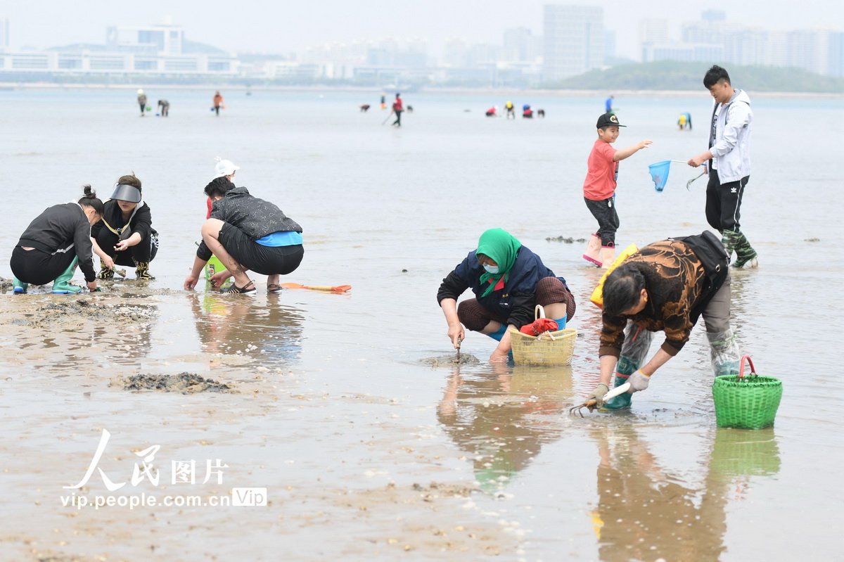 青岛：恰逢天文大潮 市民赶海忙(6) 第6页