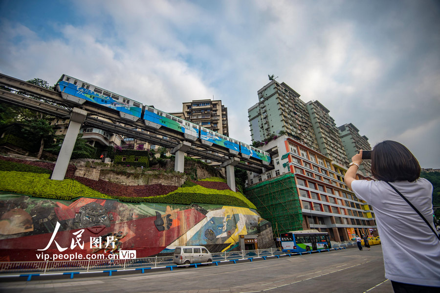 重慶李子壩軌道站文化牆堡坎立體綠化亮相