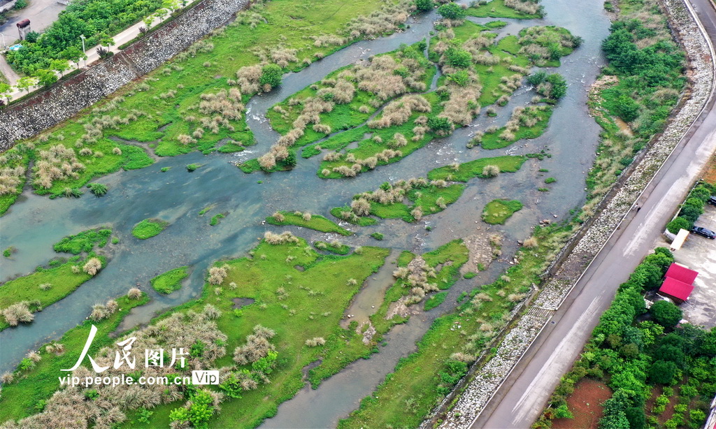 湖北宜昌：修復后的黃柏河生態濕地現濱水景觀【2】