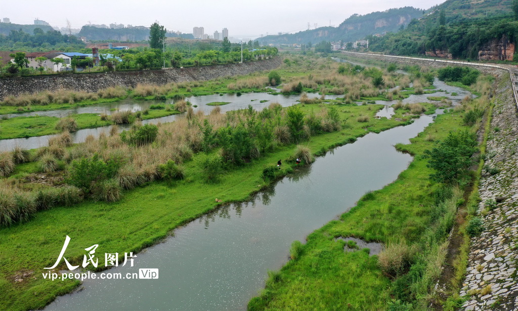 湖北宜昌：修復后的黃柏河生態濕地現濱水景觀【4】