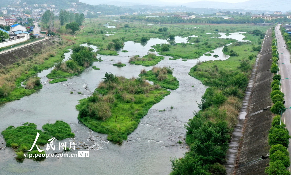 湖北宜昌：修復后的黃柏河生態濕地現濱水景觀【5】