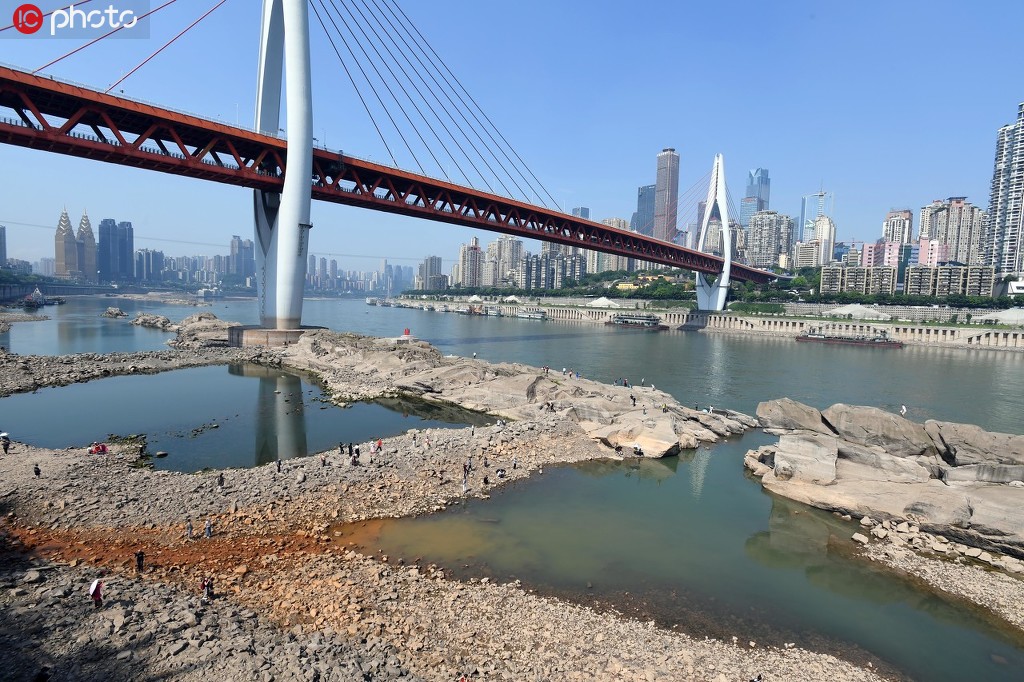 重慶東水門大橋下“神龜”浮出江面 引人圍觀“打卡”【6】