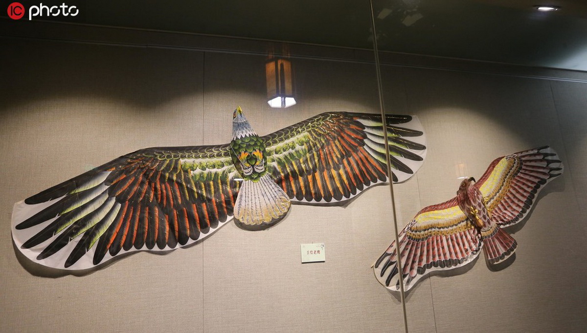 �Ͼ����ײ����չ��30�������ֽ� չʾ����������5��