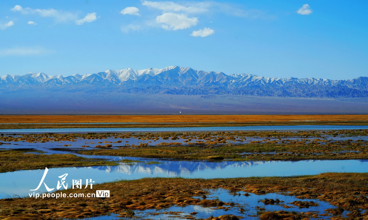5月16日，初夏的甘肅省酒泉市阿克塞縣海子濕地草原景色如畫。