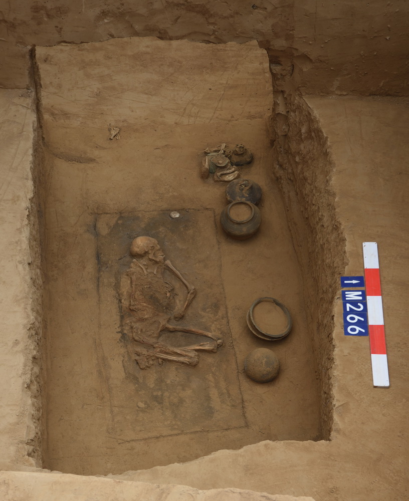 这是秦人墓中的侧身屈肢葬（资料照片）。新华社发