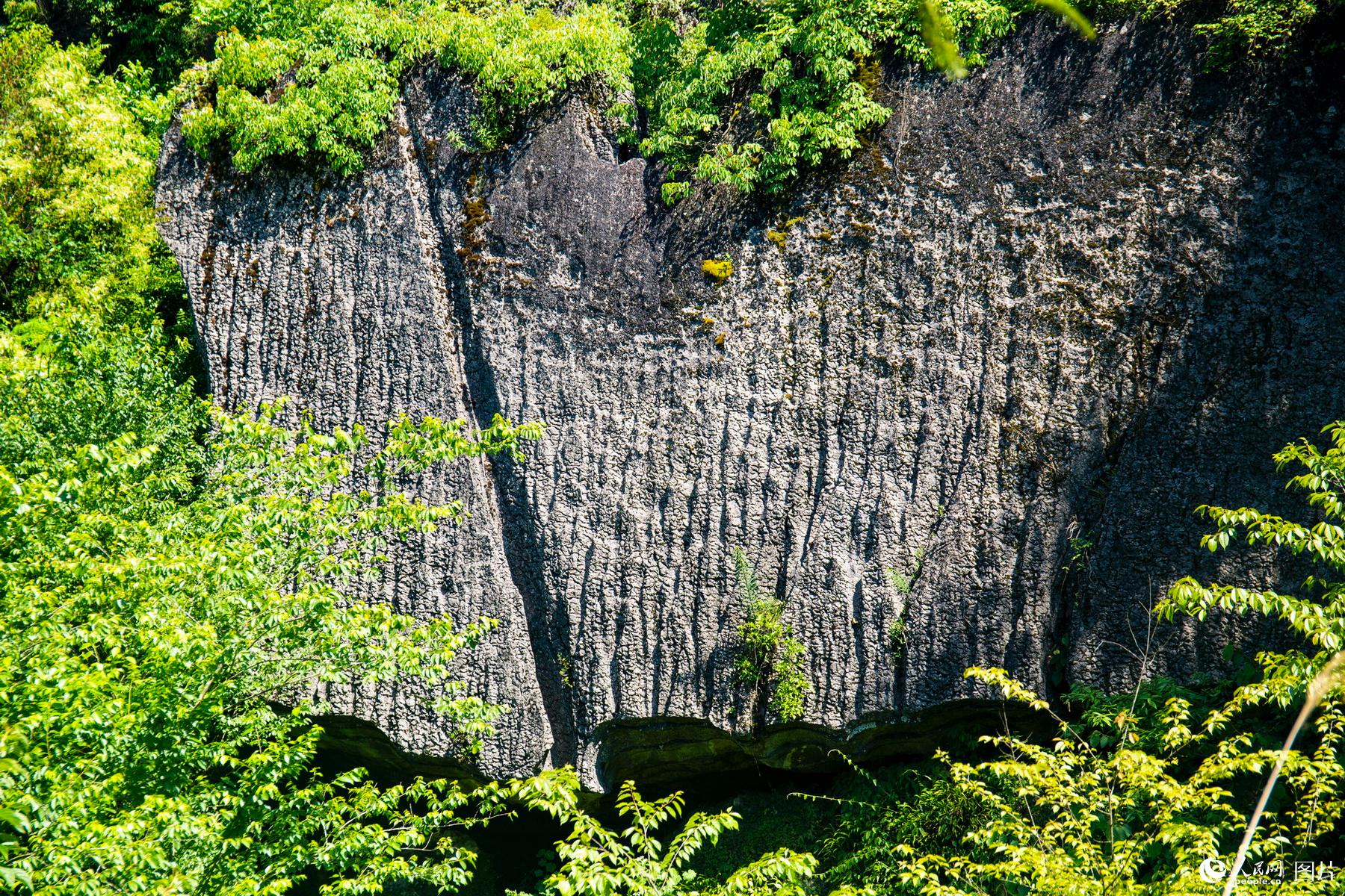 湖北恩施：四億六千萬年前的石林奇觀【3】