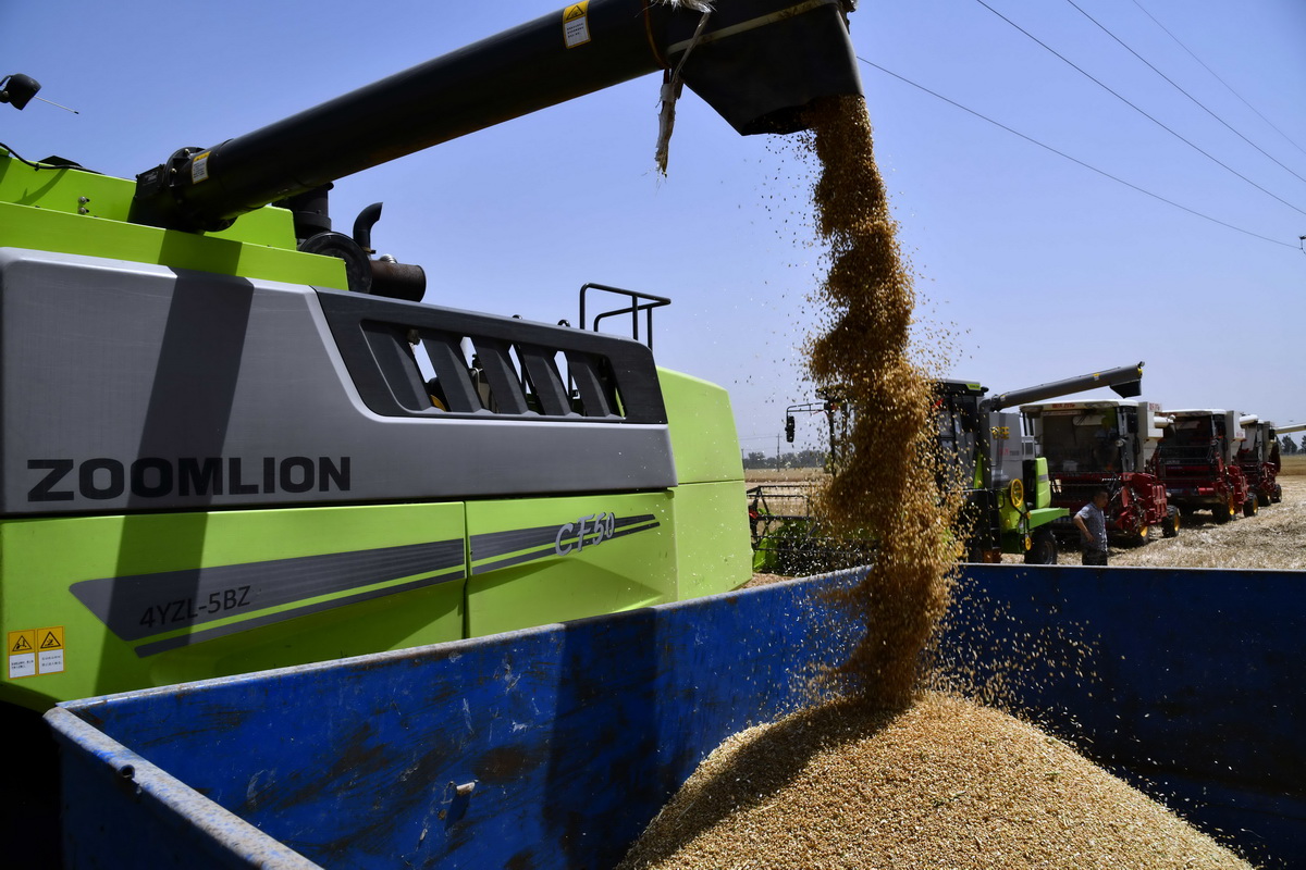 6月3日，在汶上縣郭倉鎮，收割機在收獲小麥。