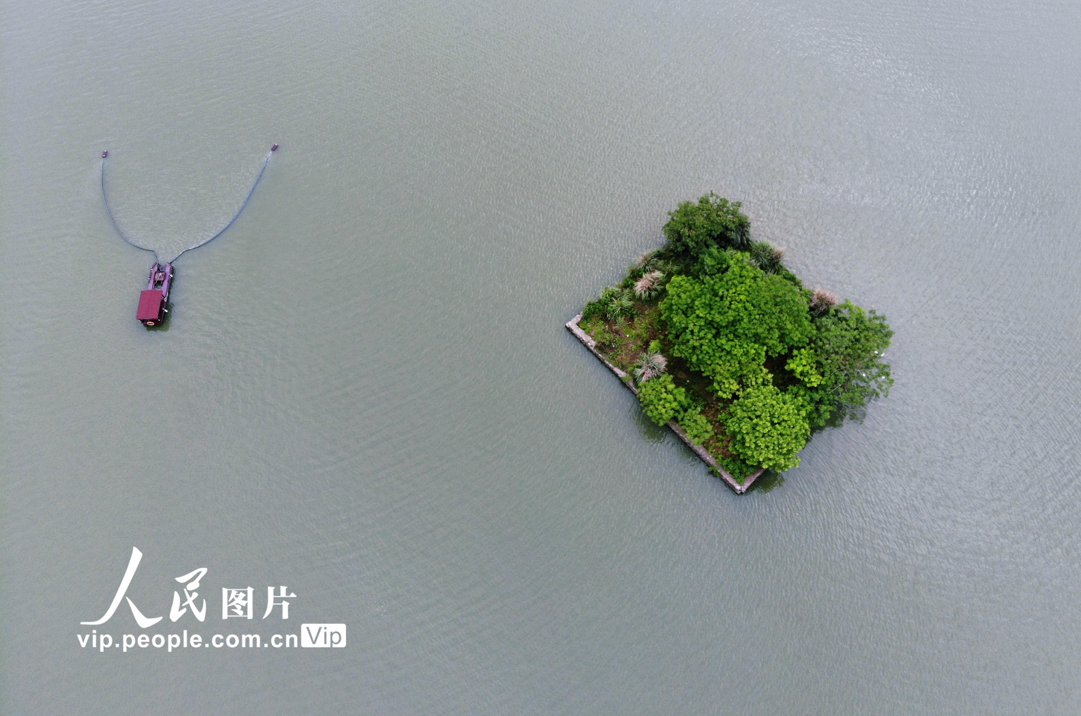 2020年6月4日，新能源漂浮物智能清理船在杭州市蕭山區湘湖進行水面保潔工作。龍巍/人民圖片