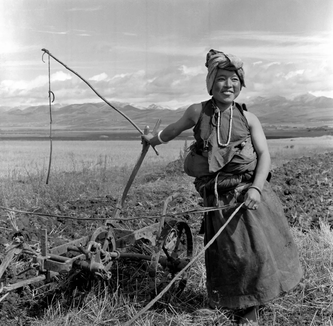 藏族女犁手，1960年代，川藏交界。牛畏予 摄