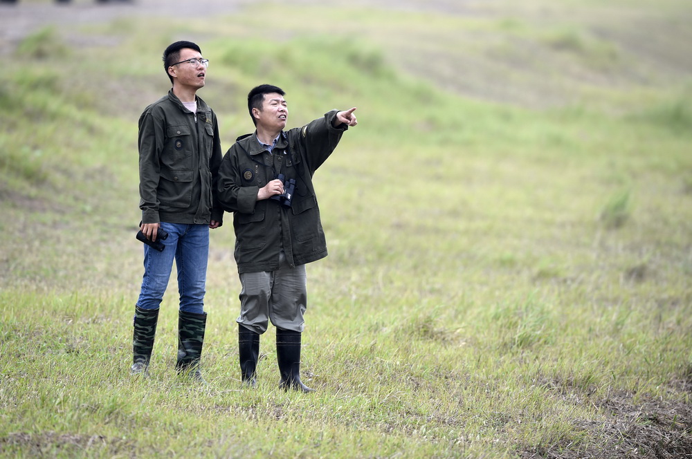 6月9日，任義軍（右）與同事在江蘇大豐野生麋鹿活動區進行巡護。