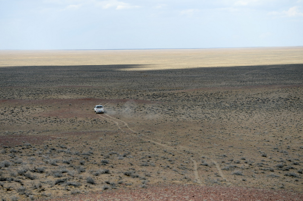 監測員乘車在新疆卡拉麥裡山有蹄類野生動物自然保護區尋找野馬（6月3日攝）。新華社記者 丁磊 攝
