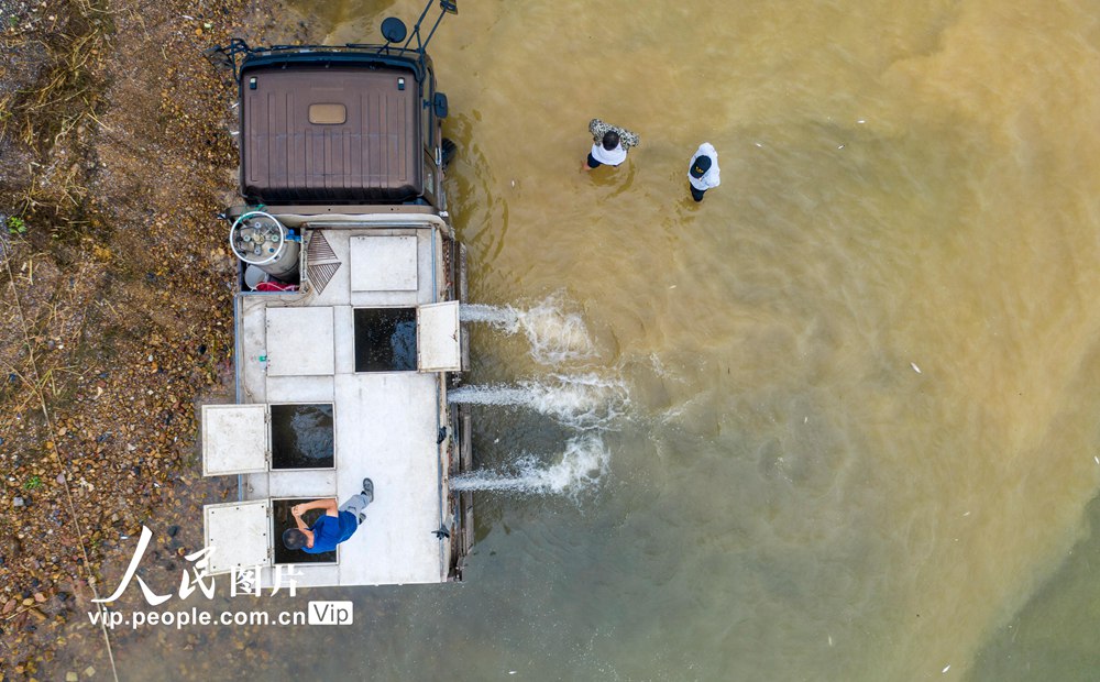 ����������Ͷ��2900����β�����޸�۶������ҵ��Դ��4��