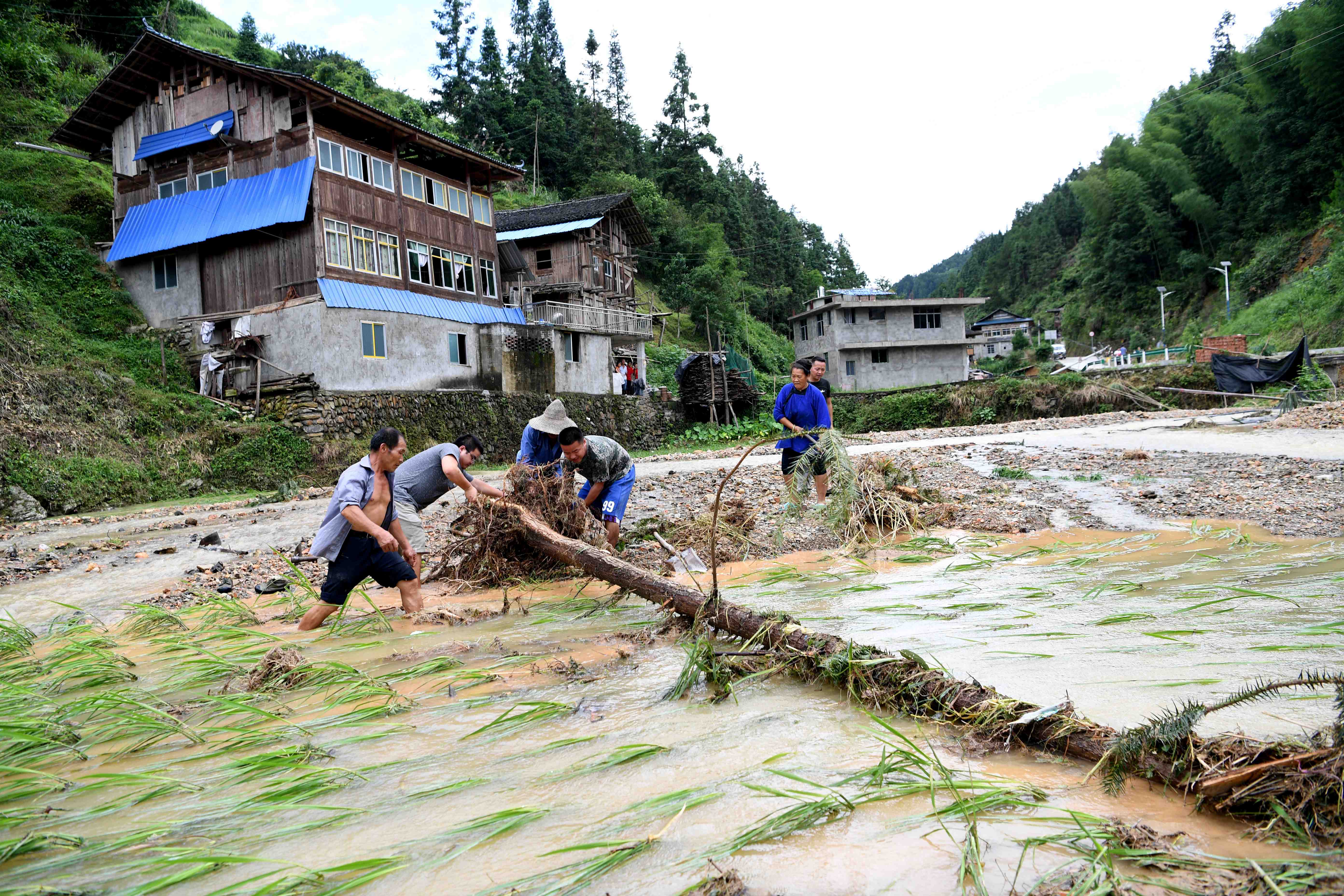6月25日，群眾在貴州省榕江縣仁裡水族鄉通倒村受災農田裡清理樹木。