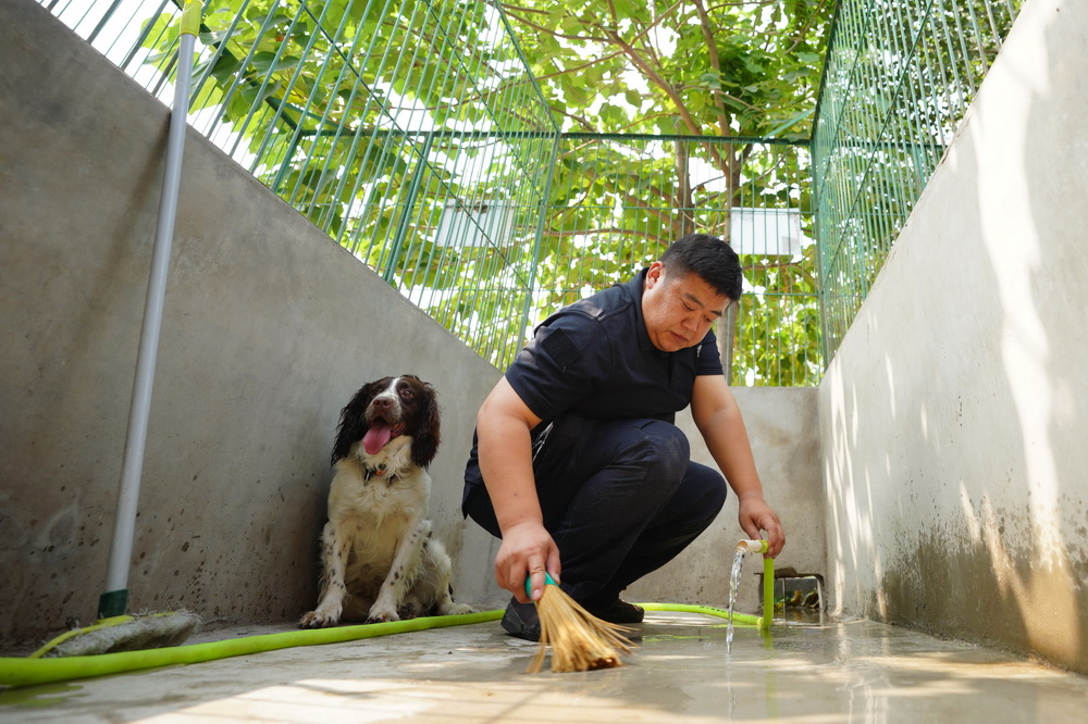 6月26日，周偉在打掃犬舍。