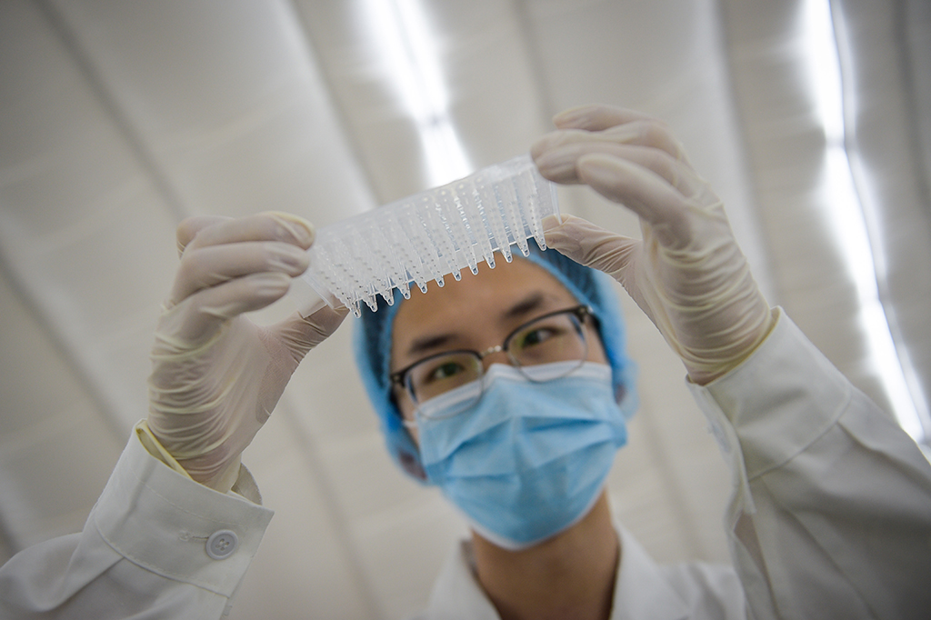 7月1日，在擴增實驗室內，實驗人員檢查核酸反應板。新華社記者 彭子洋 攝