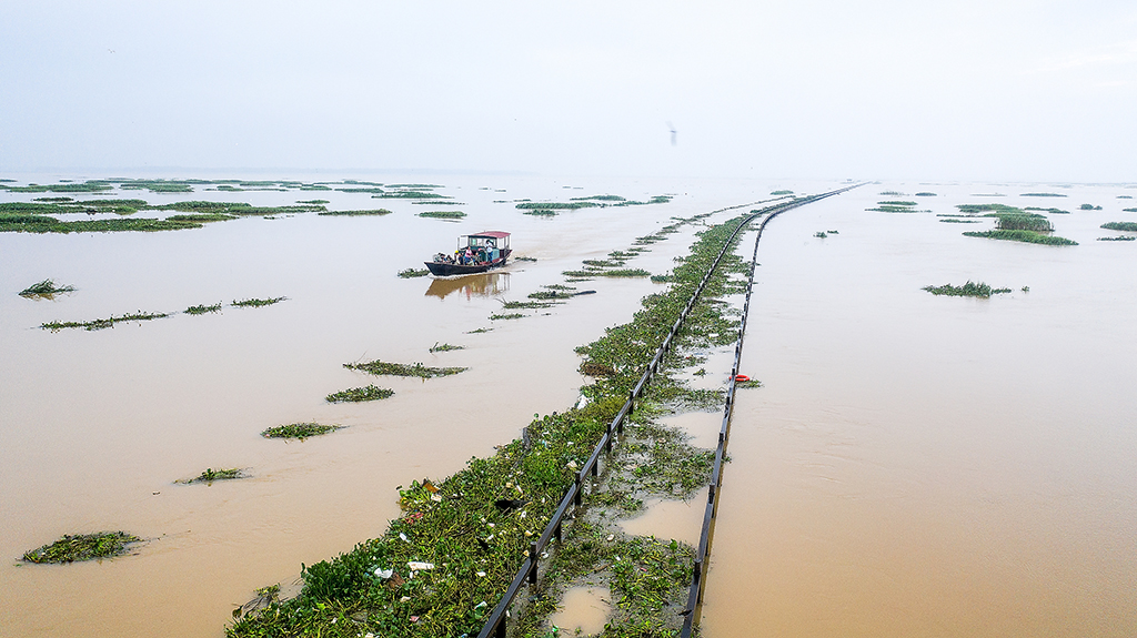 江西鄱陽湖水位快速上漲 部分公路被淹沒【4】