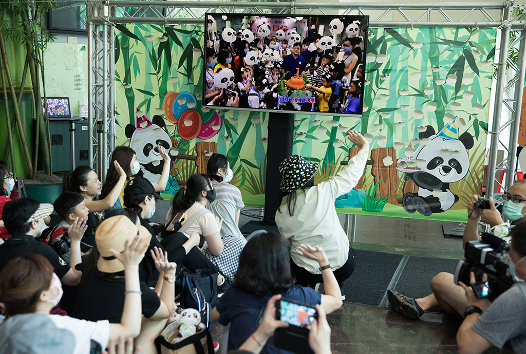 7月6日，在台北市立动物园，大熊猫“圆仔”的台北粉丝和四川粉丝互致问候，共同庆祝“圆仔”生日。新华社记者 金立旺 摄