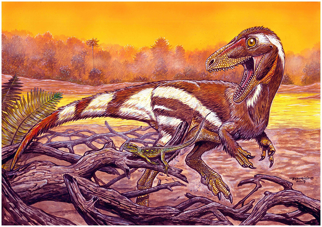 巴西發現新品種恐龍與中國新疆左龍有親緣關系【3】
