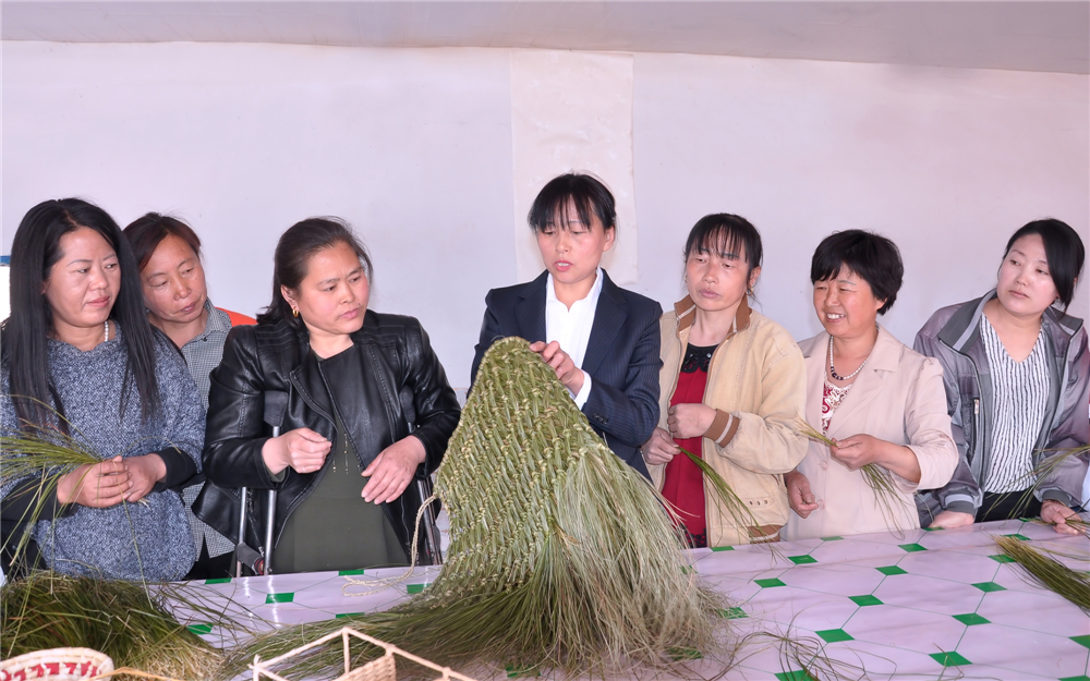 2017��4�£�����������һ����ѵ��ѧԱ��ʾ�����ݱ�֯���¼��ɡ�