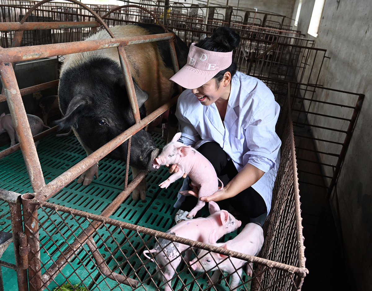 林詩詩抱著自家養殖母豬下的豬仔。曹東紅 攝