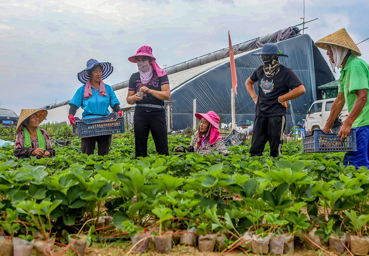 ��ʫʫ�����ָ��Ա�����缼�������� ��