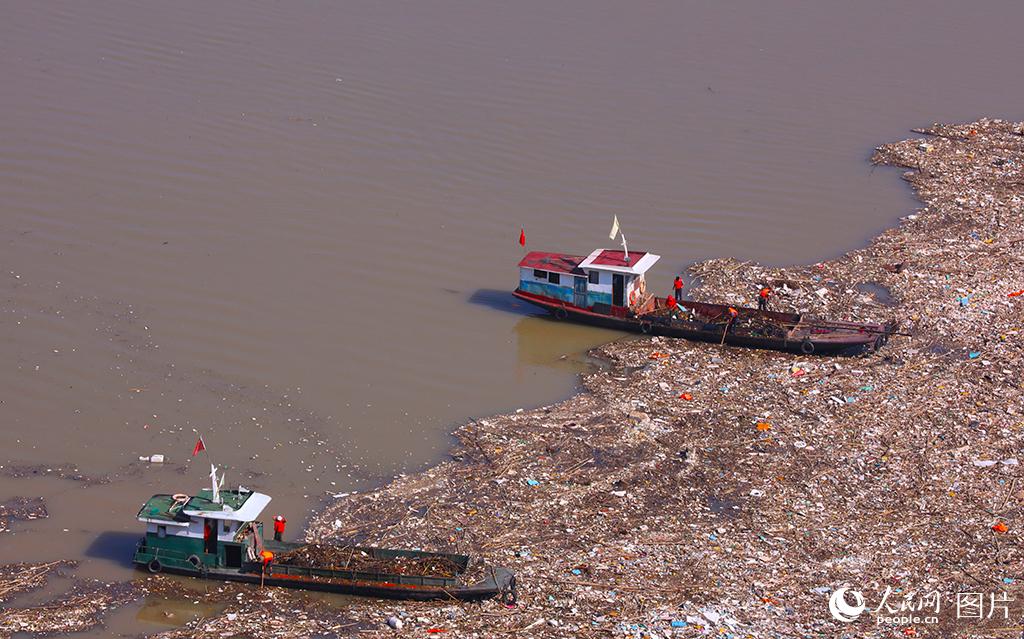 湖北宜昌：三峽大壩庫區處理漂浮物