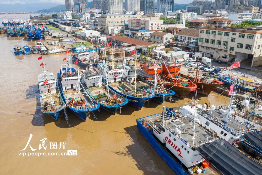 浙江瑞安：受台風“黑格比”影響 漁船紛紛回港避風【3】