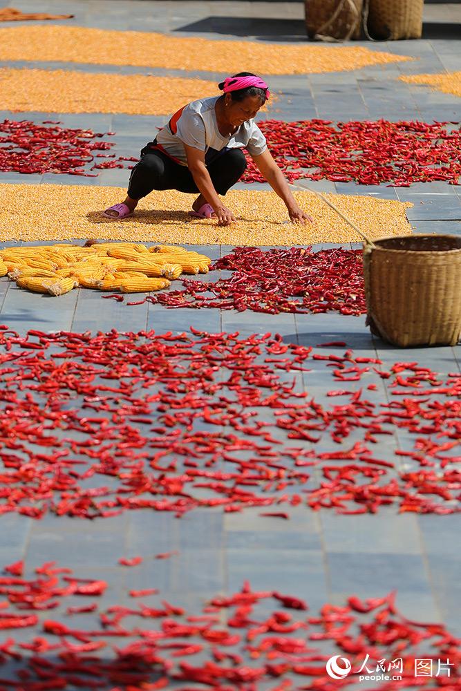 2020��8��15�գ�����ʡ�����ش�ͬ���㶴���������ɹ���ס�