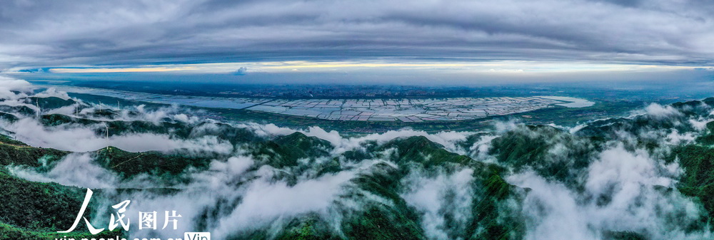 中條山現壯美雲海。（8月19日攝）