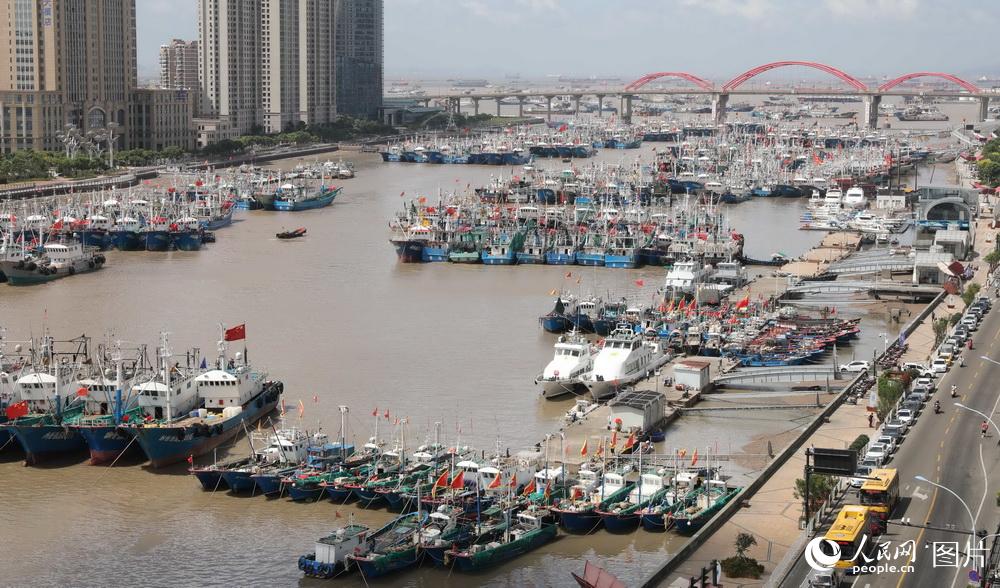 8月25日，近千艘避風歸港的漁船停靠在浙江舟山市沈家門漁港及附近安全錨地， 以躲避台風。陳永建/攝