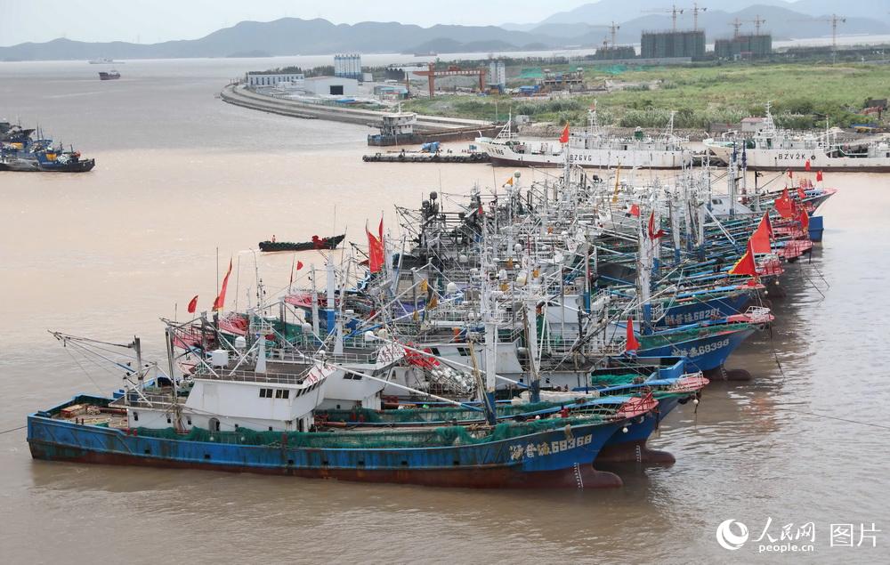 8月25日，近千艘避風歸港的漁船停靠在浙江舟山市沈家門漁港及附近安全錨地， 以躲避台風。陳永建/攝