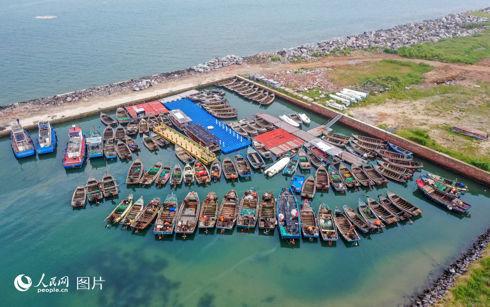 8月26日，養殖作業的舢板停靠在山東榮成桑溝灣海域一處碼頭躲避台風。李信君/攝
