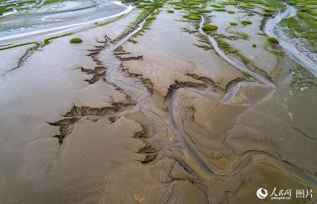 江蘇南通：小洋口濕地潮汐紋理構成完美畫卷【4】