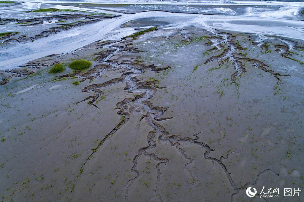江蘇南通：小洋口濕地潮汐紋理構成完美畫卷【5】
