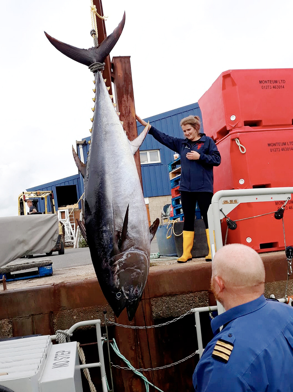 英國海岸現180公斤巨型金槍魚【3】