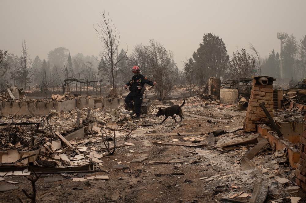 9月13日，在美国俄勒冈州塔伦特，救援人员在山火过后的废墟中搜救。新华社/路透