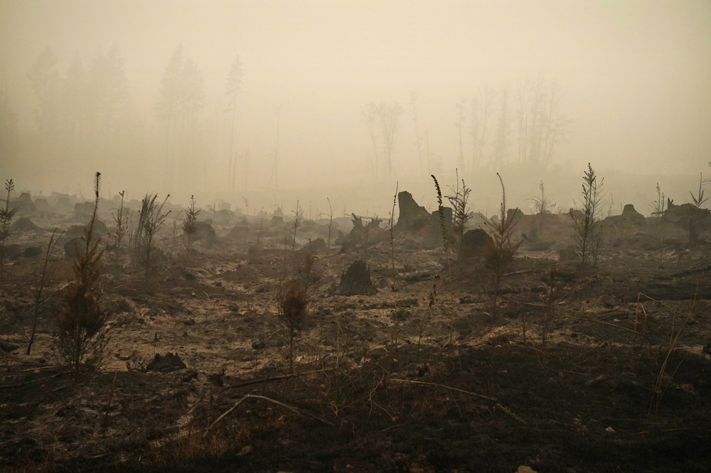 这是9月13日在美国俄勒冈州莫拉拉附近拍摄的森林被焚毁后的景象。新华社/美联