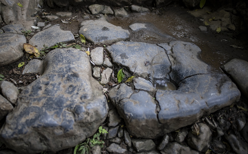 ����2000������꣬��ߵ�����ӡ���������ɼ���8��10���㣩���»������ ����ҫ ��