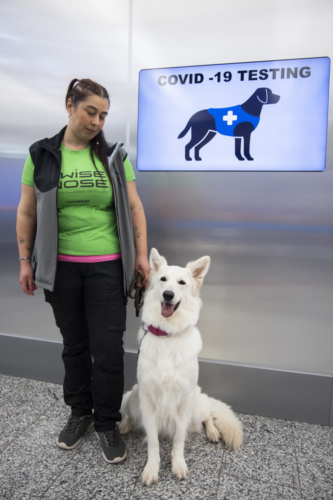 9月22日，工作人員帶著嗅探犬在芬蘭赫爾辛基萬塔國際機場參加新聞發布會。新華社發（馬蒂·馬蒂凱寧攝）