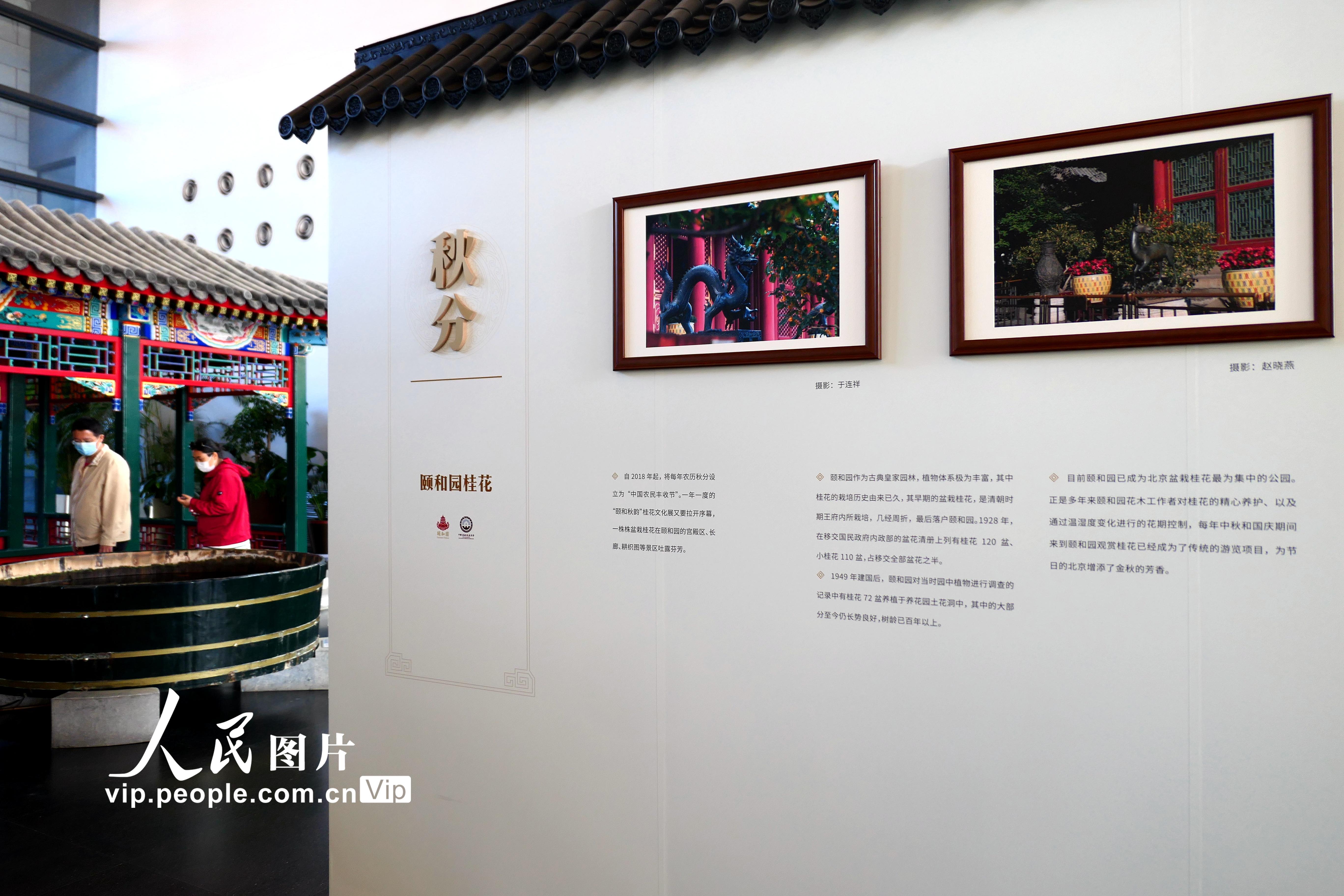 北京：頤和園建園270周年攝影展舉辦【2】