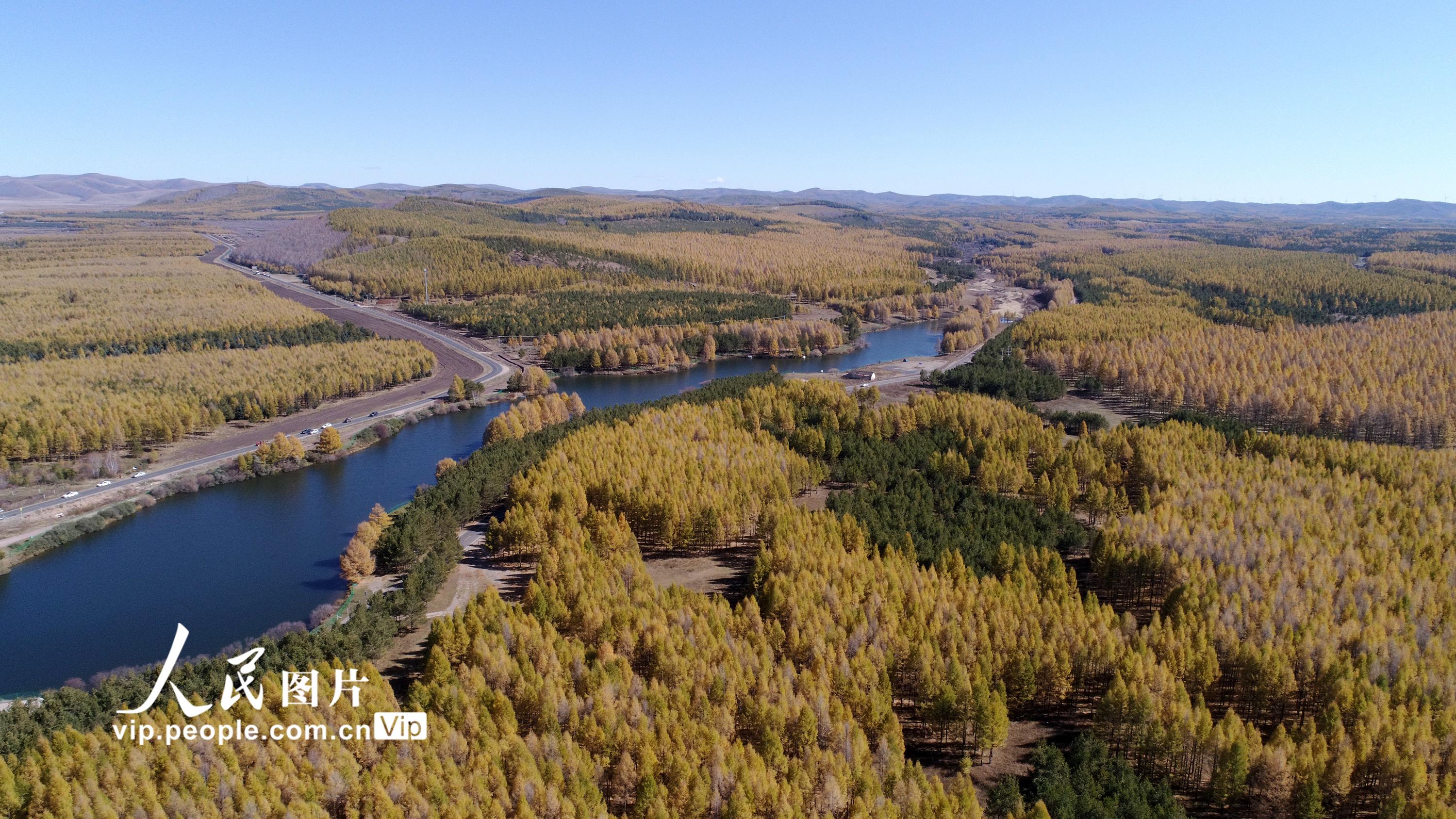 �ӱ��е£���Ⱦ�����ӡ�6��