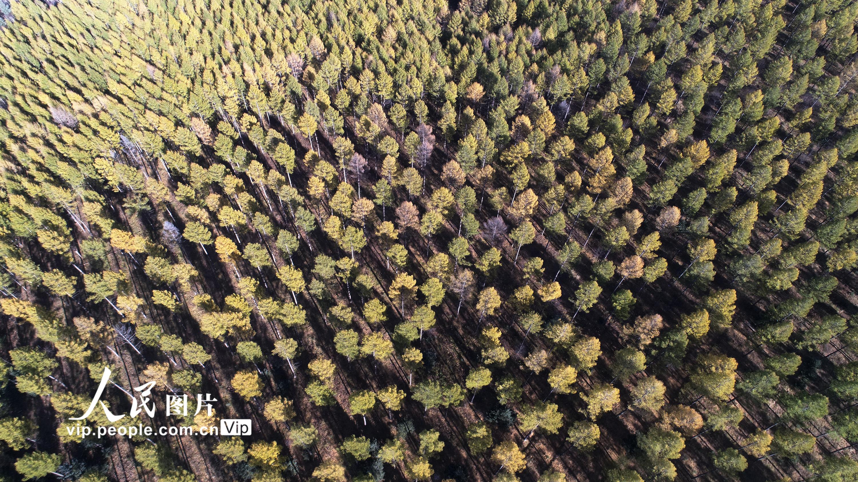 �ӱ��е£���Ⱦ�����ӡ�16��