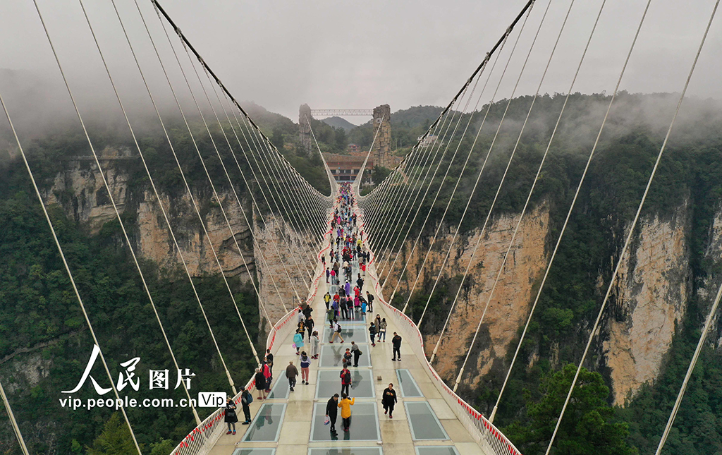 �����żҽ磺���������� ���ֶȼ��ڡ�2��