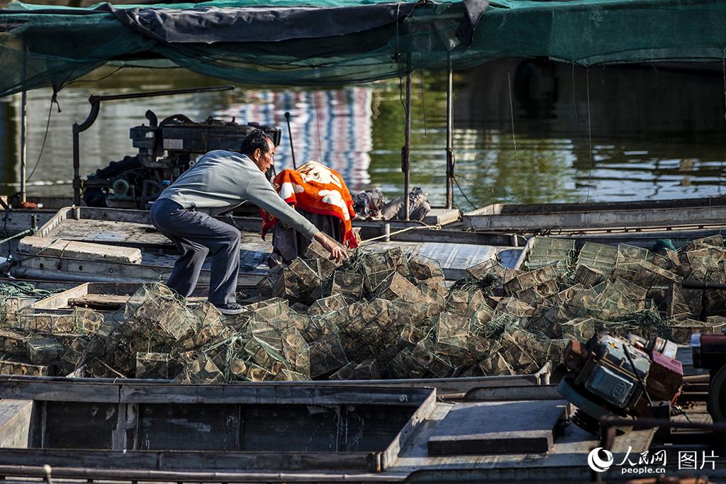 10月9日，在泗洪縣臨淮鎮船塘內，臨淮鎮漁民正在整理網具。許昌亮/攝