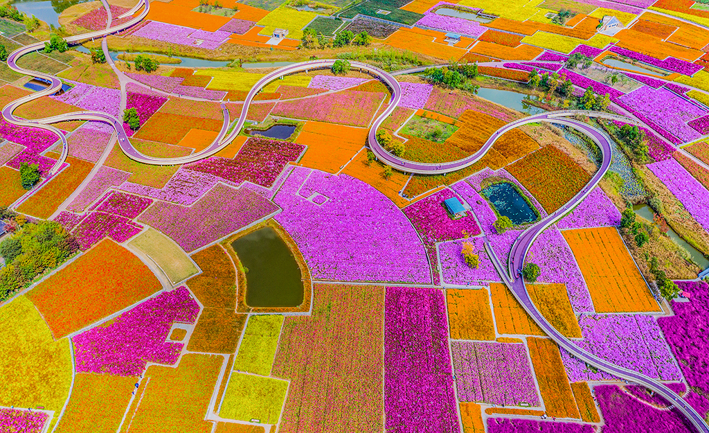 ������Ǩ�����ﻨ����������3��