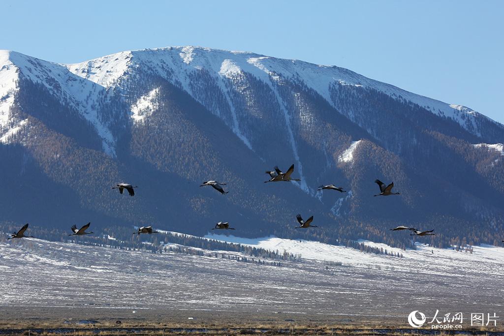 �½��������������ٺ� ����׳�ۡ�8��