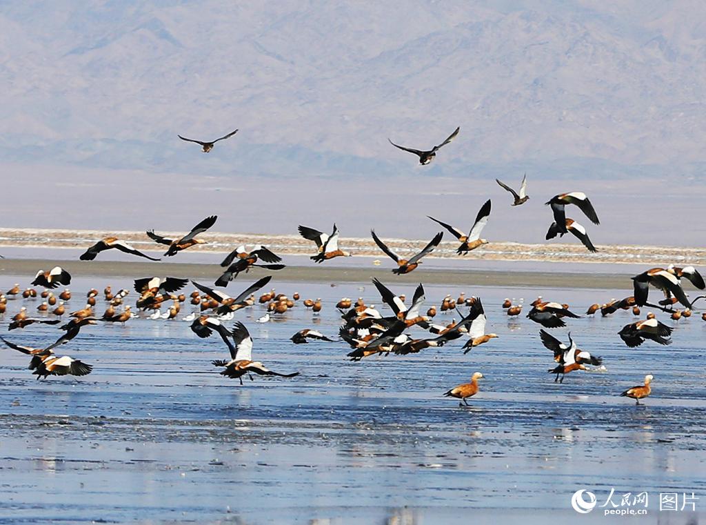 �½��������������ٺ� ����׳�ۡ�10��