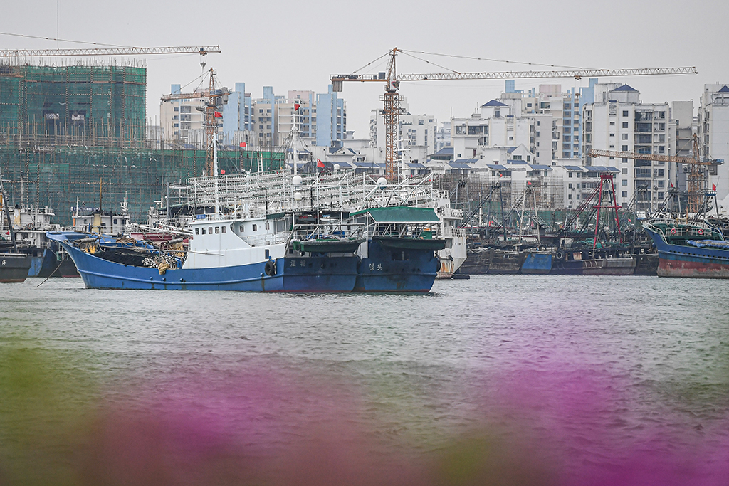  10月13日，船只在海口市新港码头停靠避风。