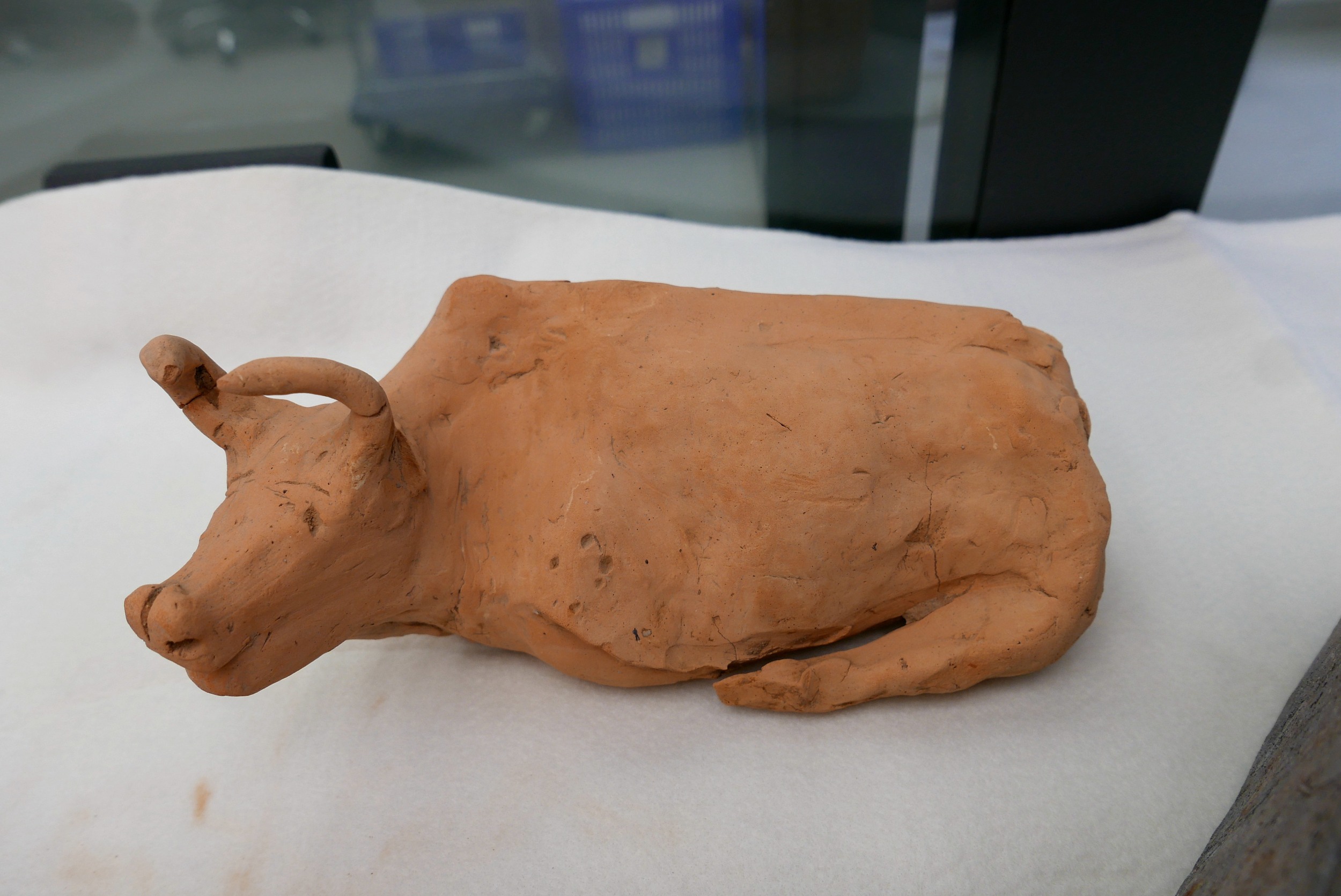 2020年10月13日，廣州市文物考古研究院展示的此次搶救性考古發掘出土的陶牛。許建梅/攝（此圖片為版權作品，請勿轉載。）